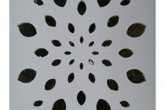 IMG-20170120-WA0025