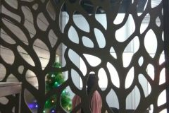 IMG-20161229-WA0009